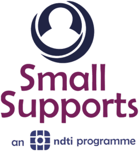 ndti small supports logo